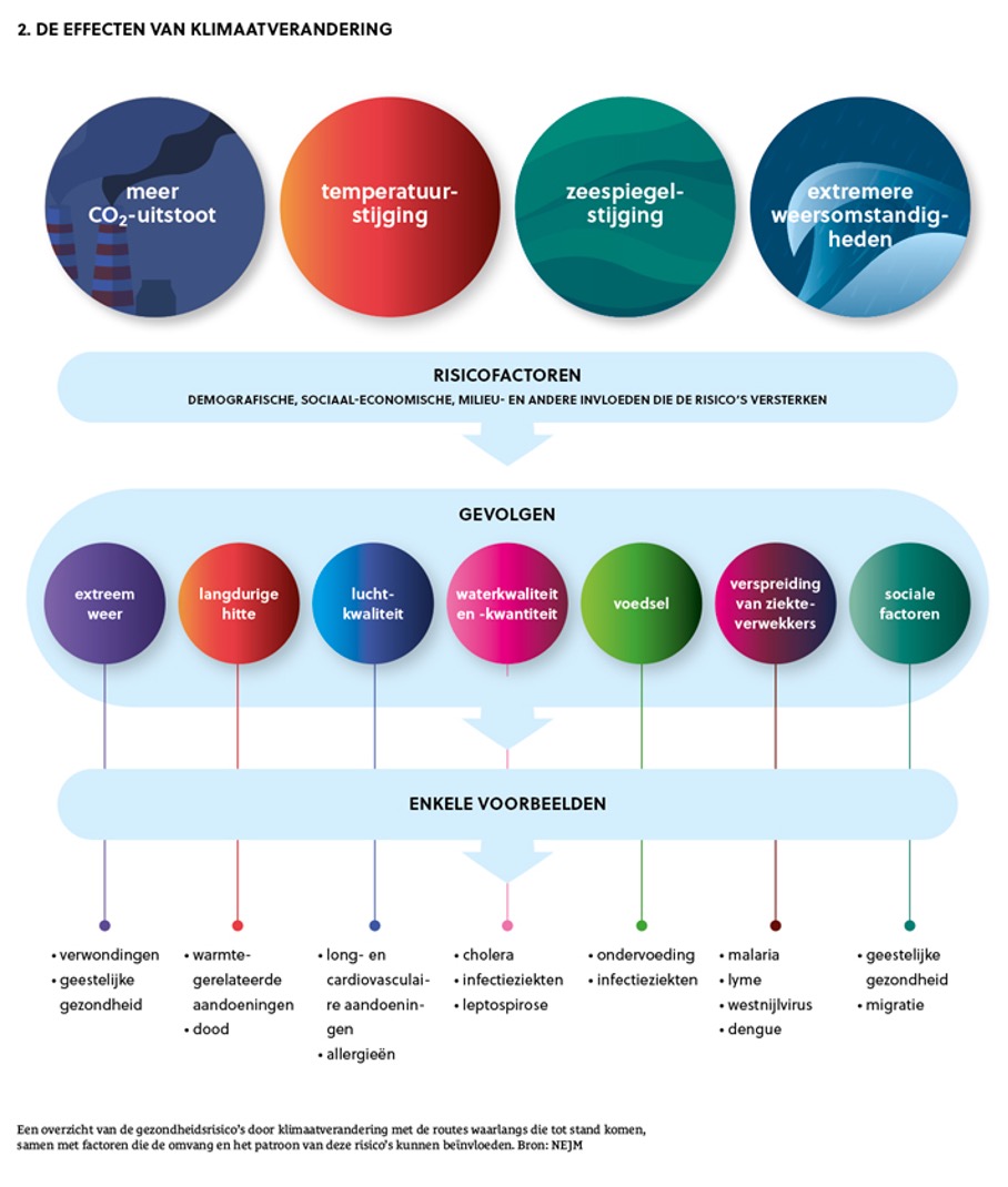 De effecten van klimaatverandering.jpg