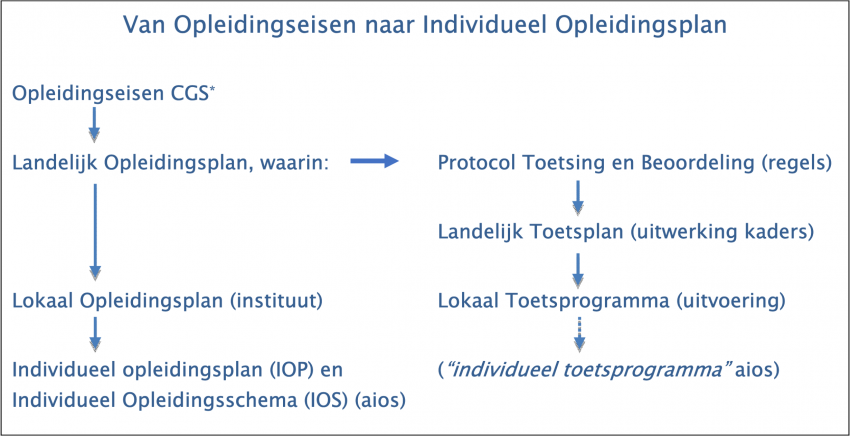 herkomst: Landelijk Toetsplan 2019