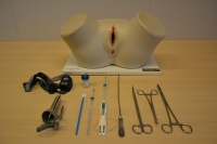 Vrouwelijk bekken IUD en cytologie.jpg