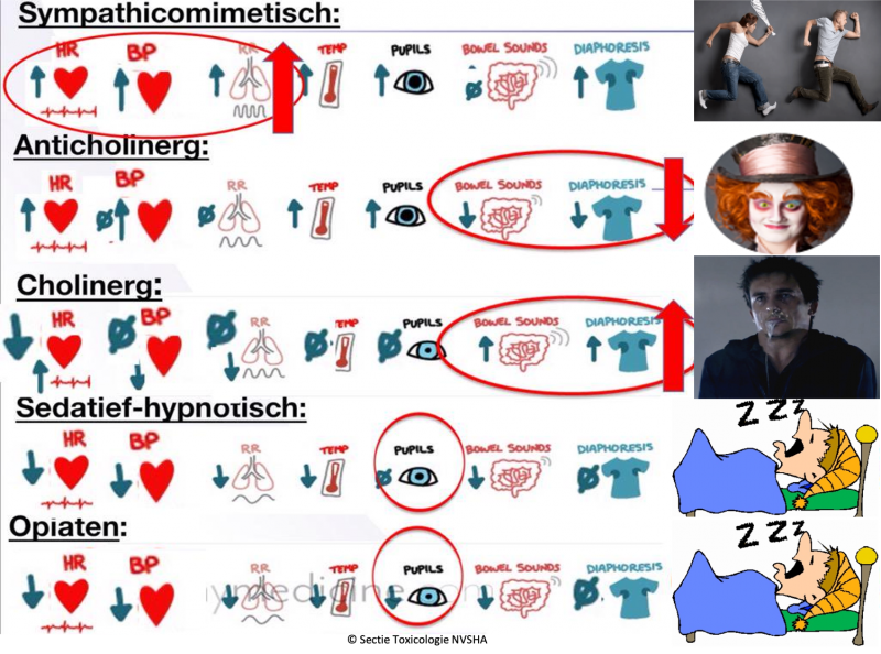 Bestand:Overzicht toxidromen NVSHA.png
