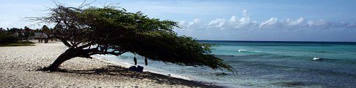 Aruba boom