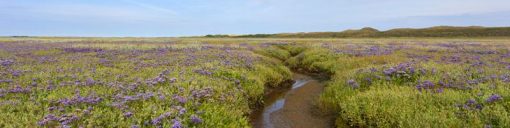 Texel-Slufter